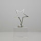 Meta Star Crystal