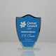 Blue Glass Shield
