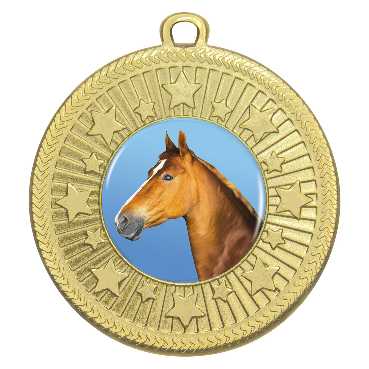 Horse - Starlight