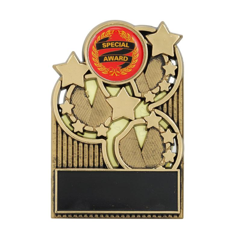 Mini Star Plaques TCD