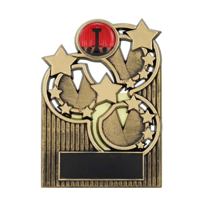 Mini Star Plaques TCD