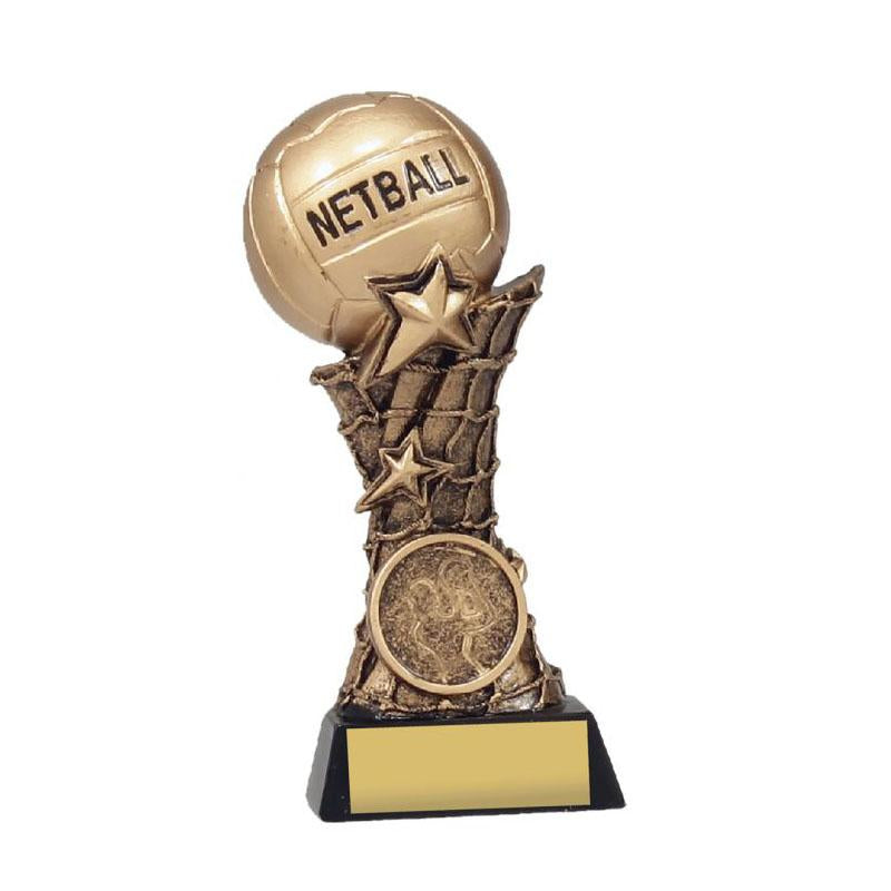 Netball Raised Ball TCD