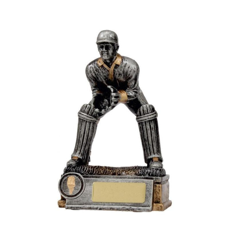 Cricket Wicketkeeper TCD