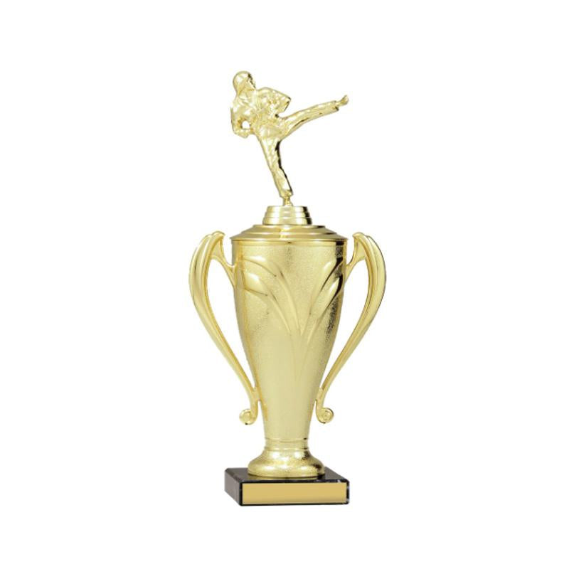 Champion Cup TCD