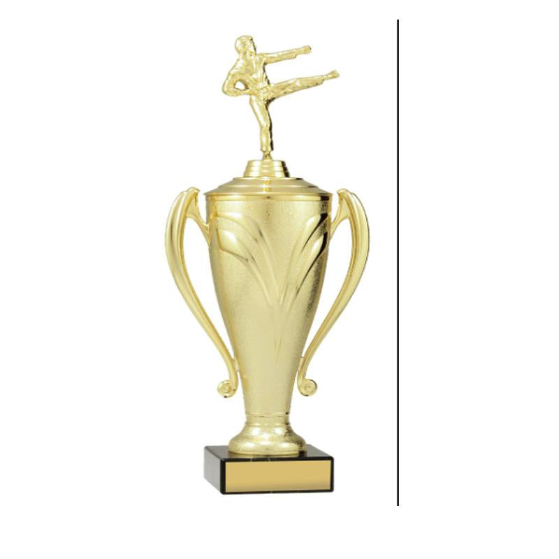 Champion Cup TCD