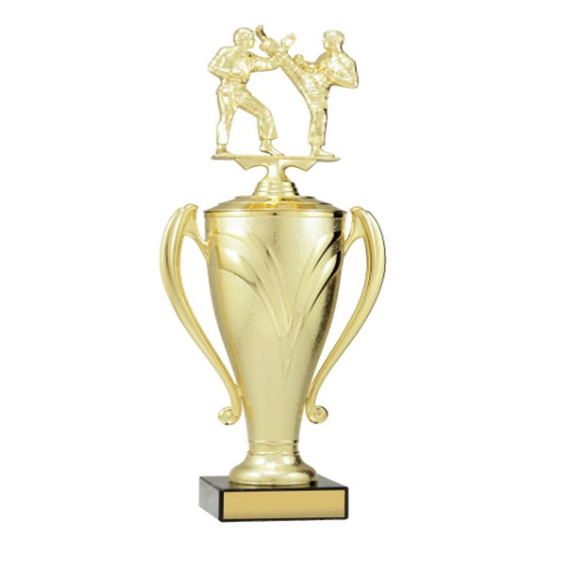 Champion Cup TCD