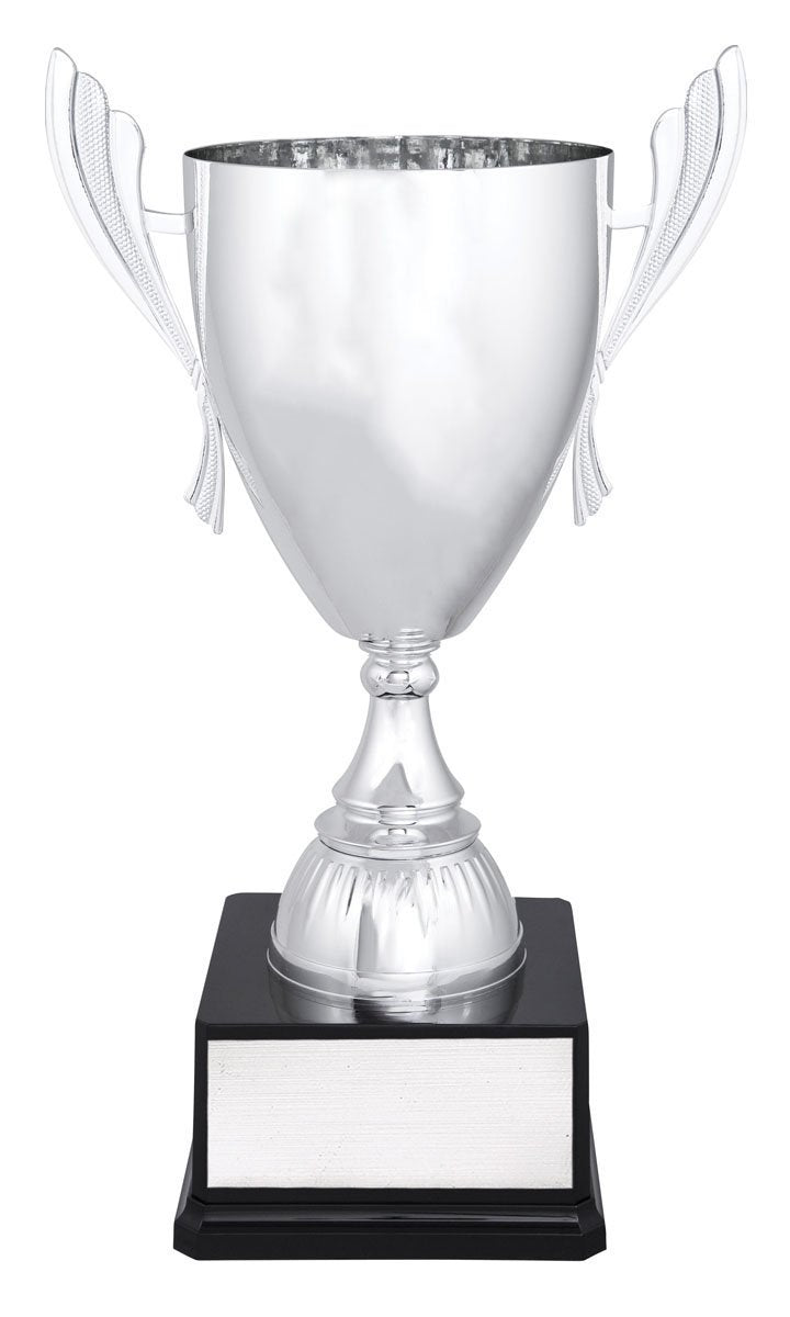 Silver Ironside TCD