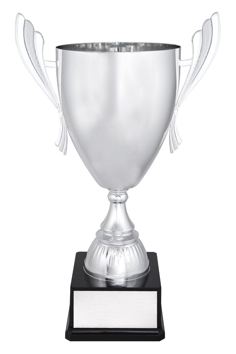Silver Ironside TCD