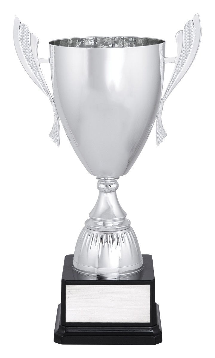 Silver Ironside TCD
