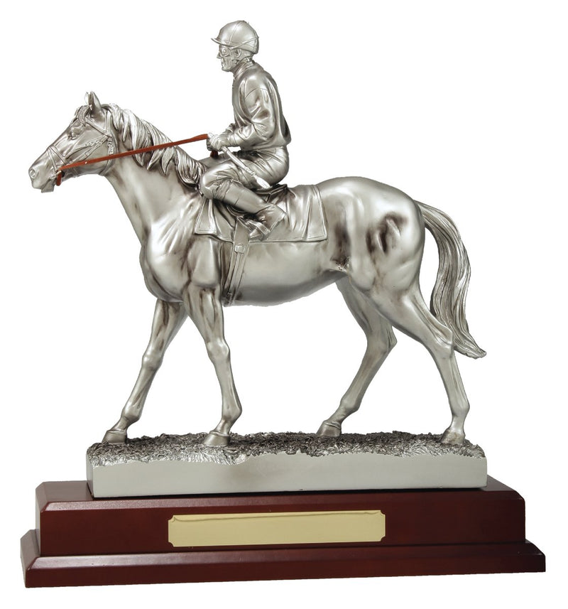 Silver Jockey Award TCD