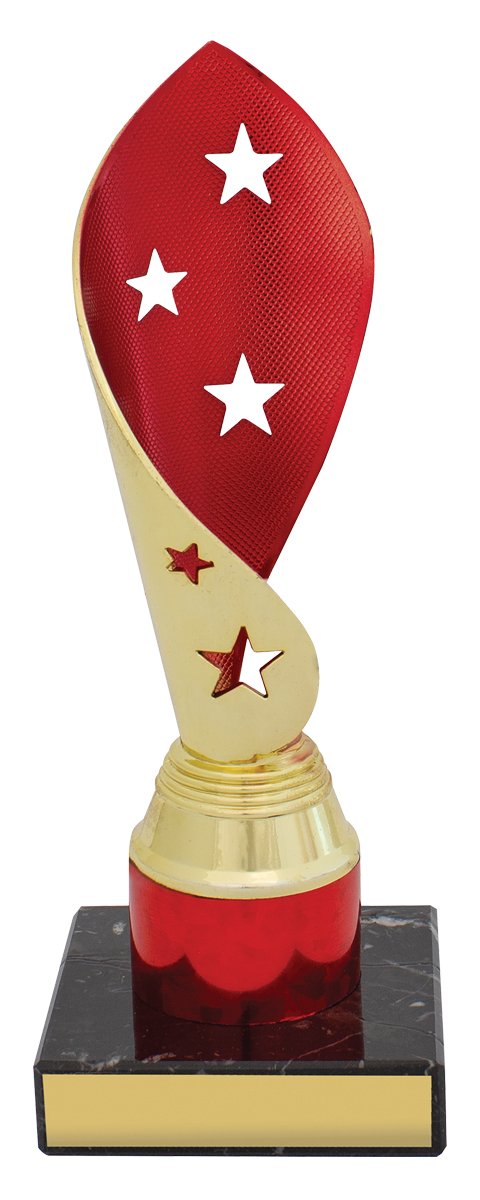 Red Festival Cup TCD