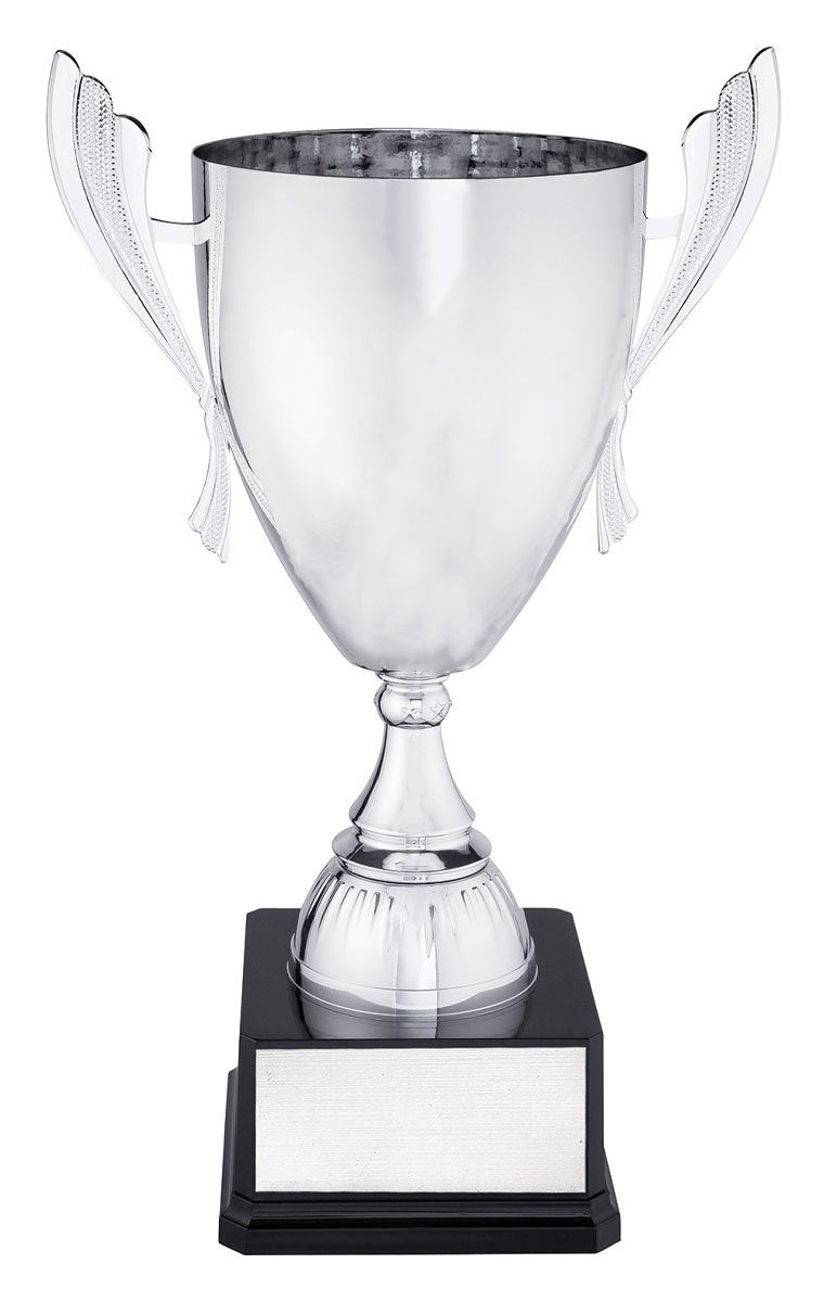 Silver Ironside TCD
