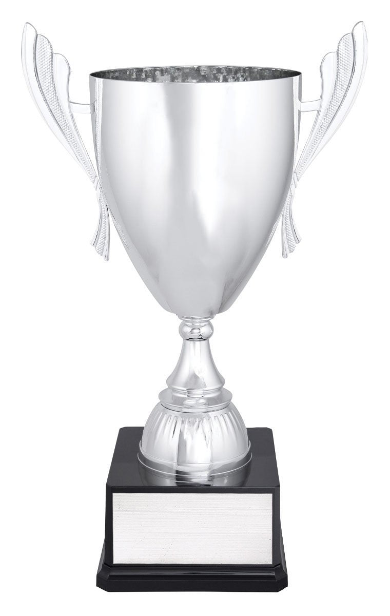 Silver Ironside TCD