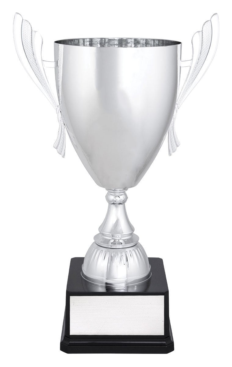 Silver Ironside TCD