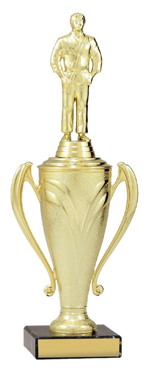 Champion Cups TCD