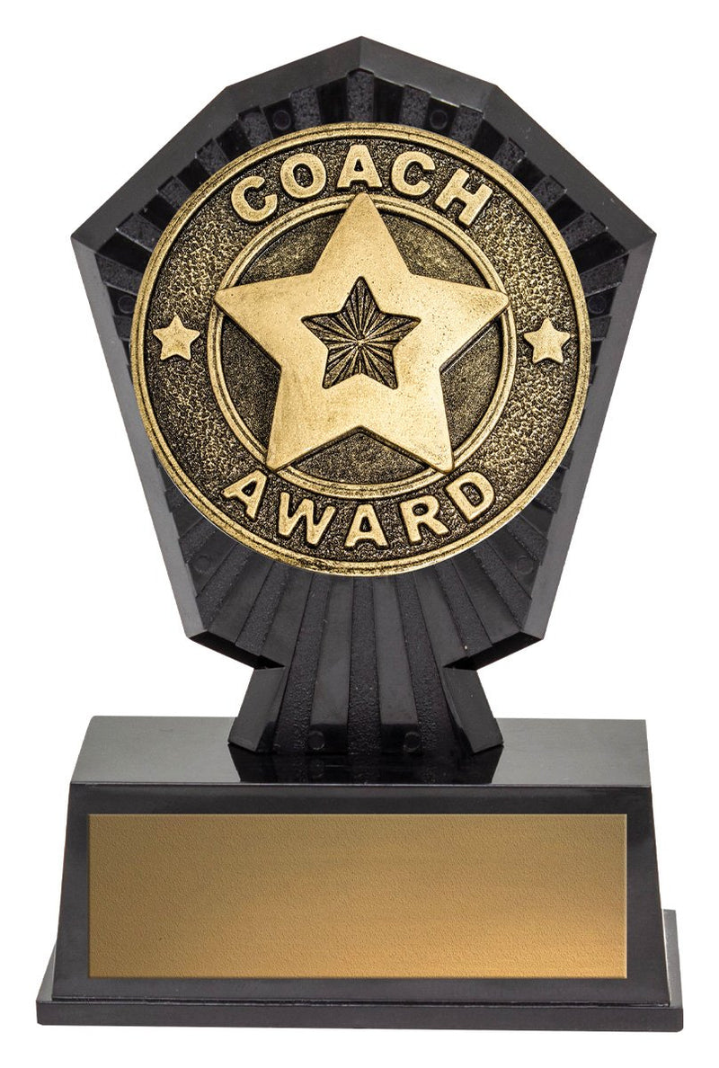 Super Mini - Coach Award TCD