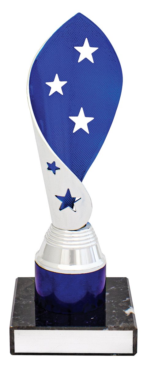 Blue Festival Cup TCD
