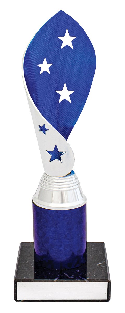 Blue Festival Cup TCD