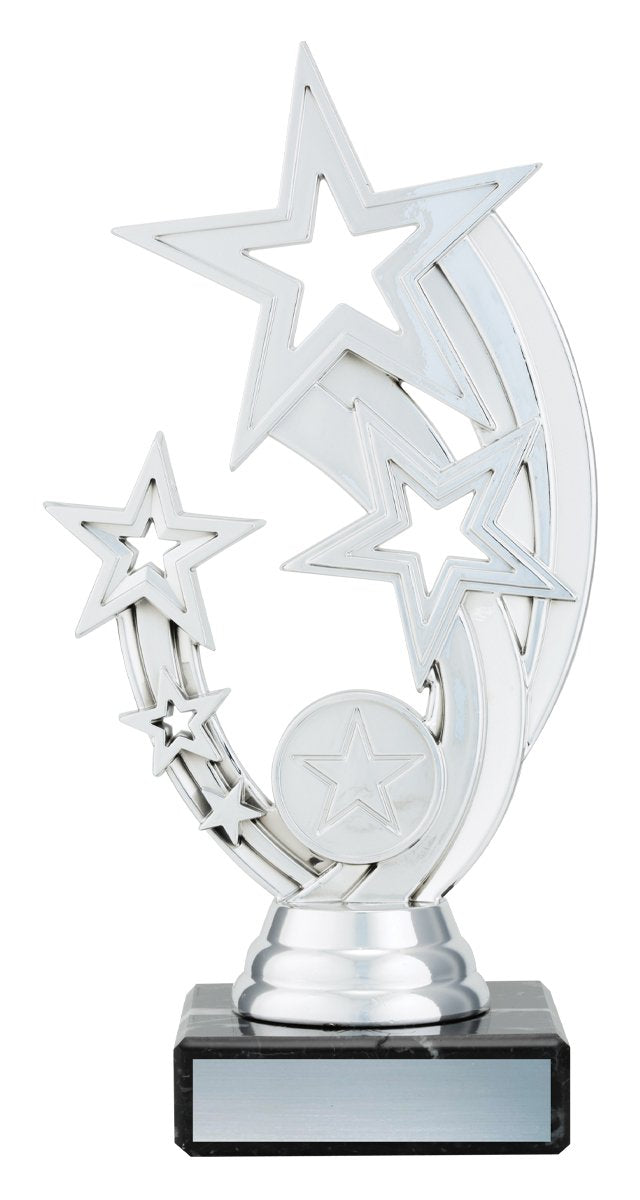 Silver Flying Star TCD