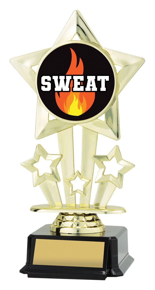 Icon Star - Sweat TCD
