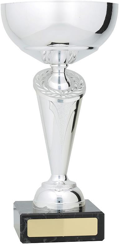 Valiant Cups Silver TCD