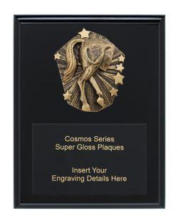 Cosmos Super Plaque - Horse's Rear TCD