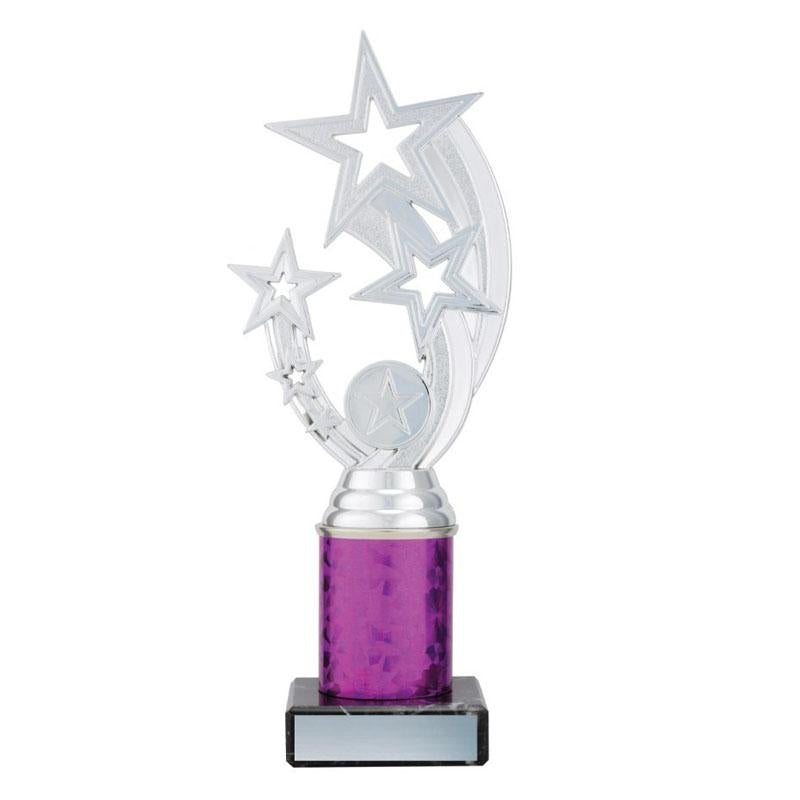 Silver Flying Star TCD