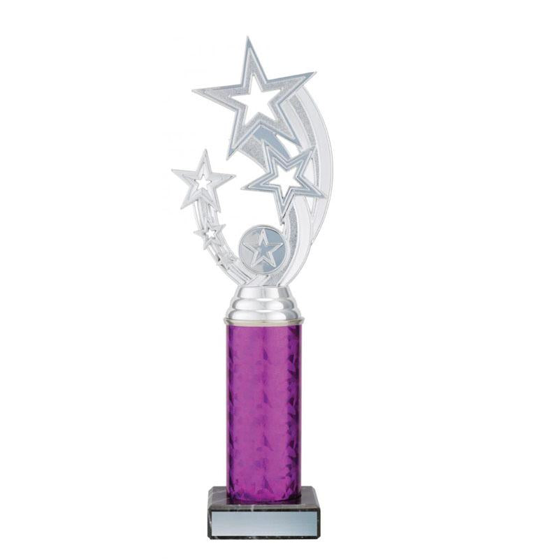 Silver Flying Star TCD