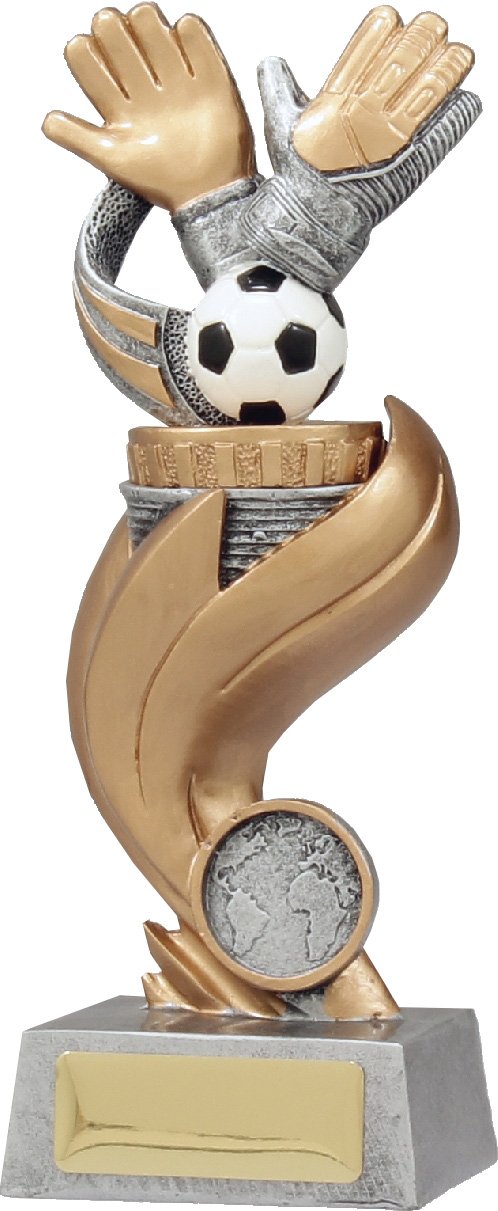 Flame Goalie TCD