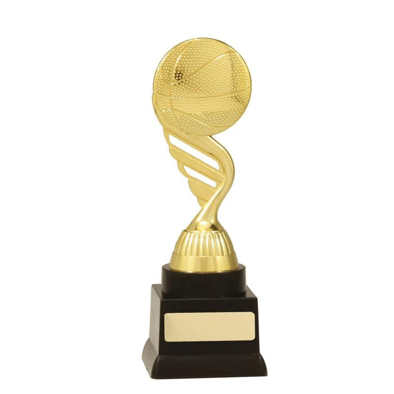 Basketball Budget TCD