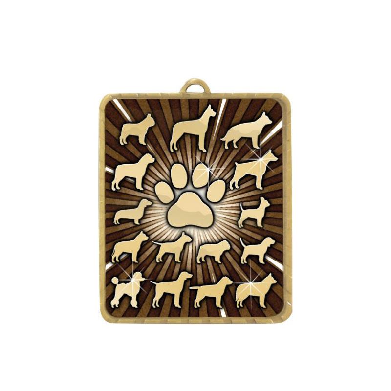 Gold Lynx Medal - Pet TCD