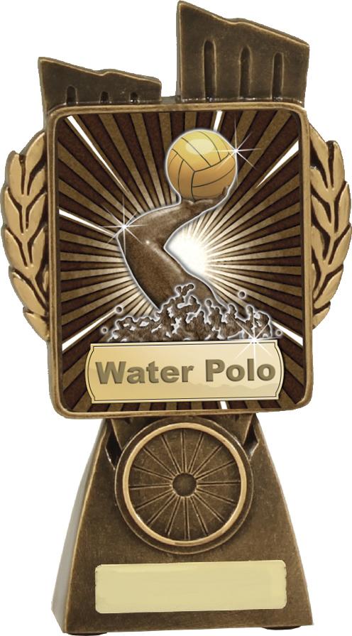 Antique Gold Lynx - Water Polo TCD