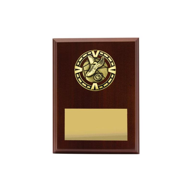 Varsity Plaque - Athletics TCD