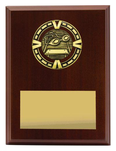 Varsity Plaque - Swim TCD