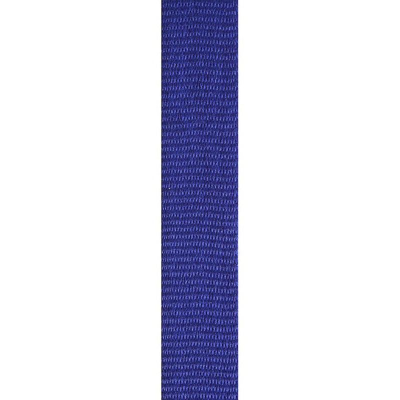Blue Loop Ribbon TCD