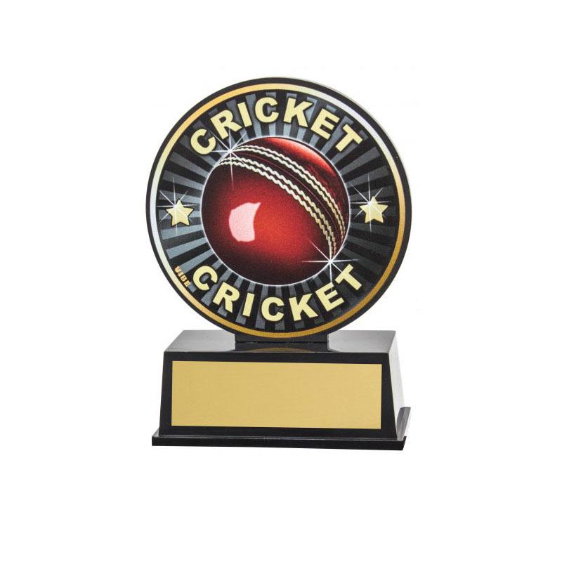 Vibe Cricket TCD