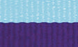 L.Blue / Purple Ribbon Evaton