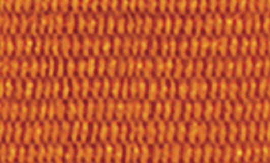 Orange Ribbon Evaton