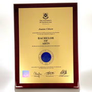 Plaques